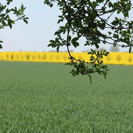 In Dargun Mit Schwimmbad Lägenhet