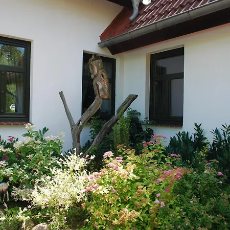 In Dargun Mit Schwimmbad 公寓 Barlin